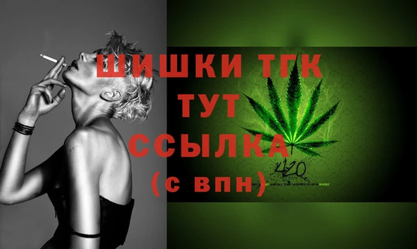 дживик Костерёво