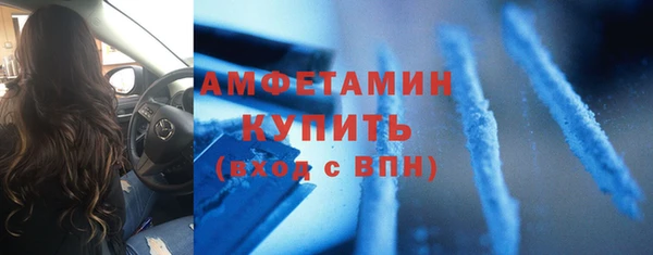 индика Краснослободск