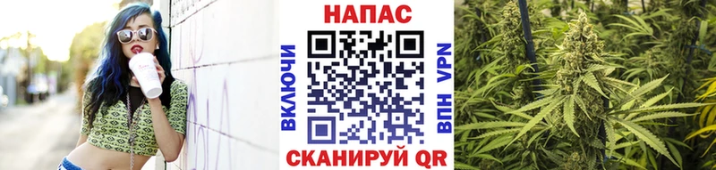 Каннабис SATIVA & INDICA  Купить  Павловск 
